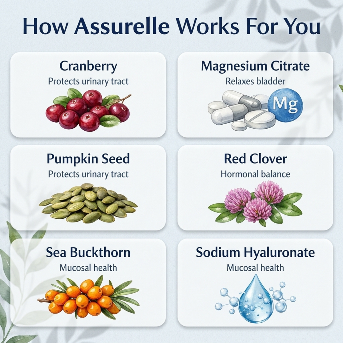 Assurelle™ Natural Bladder Control Support , Night-Time Toilet Visits and Urgency